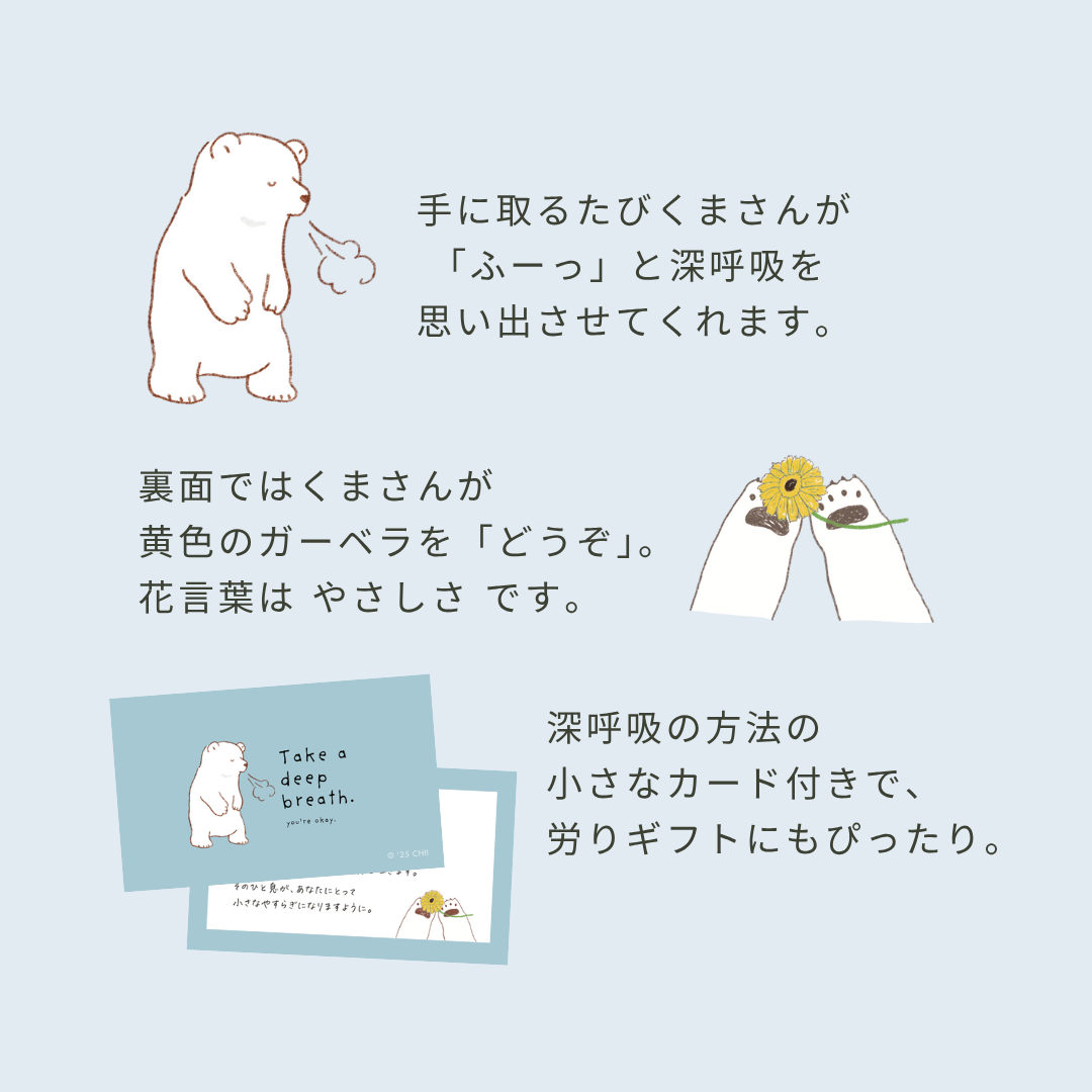 【11/28- キャンセル分のみ再販】思春期SSTワーク|100P|製本版+PDF付