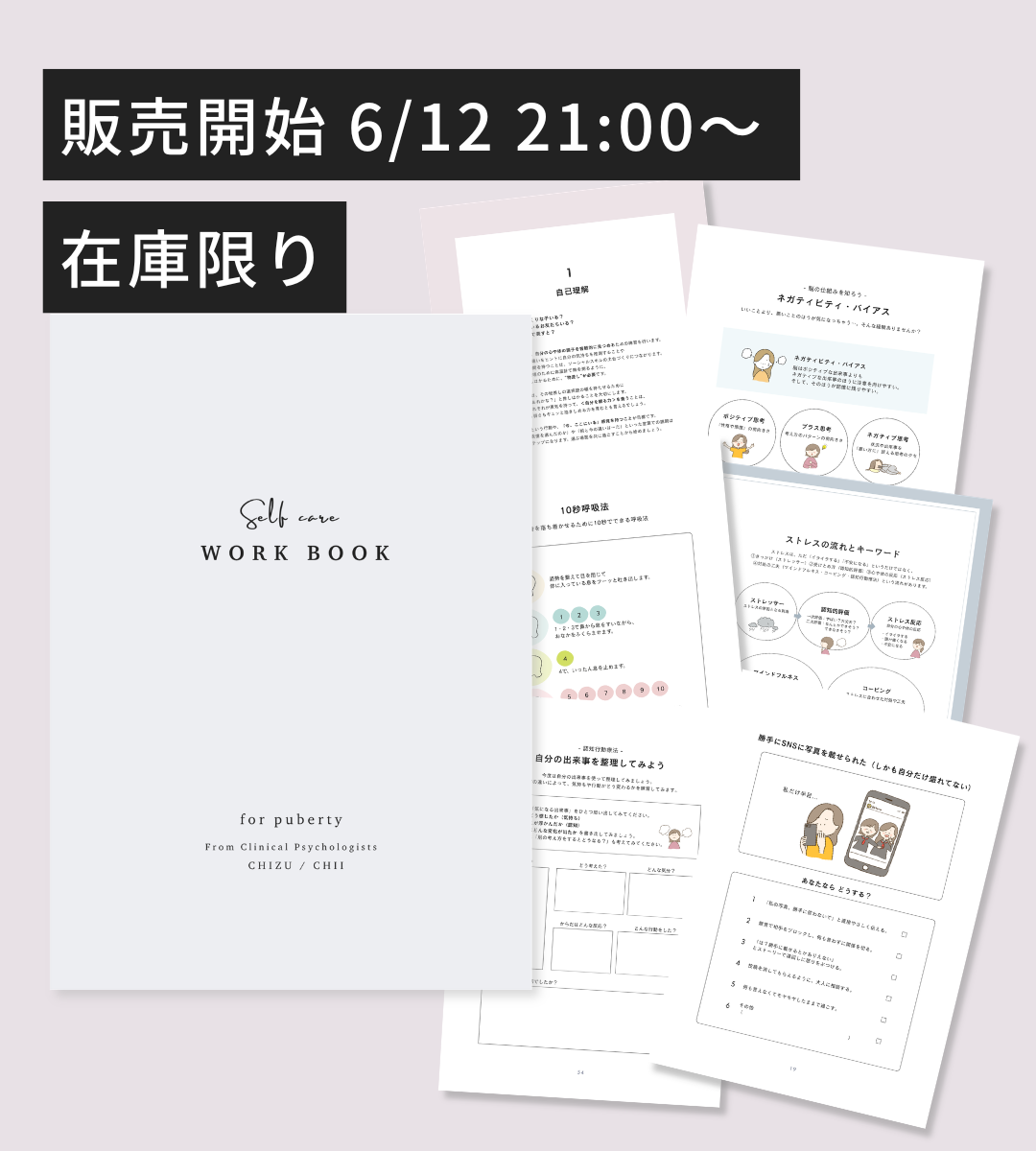 【6/12 21:00- 】【在庫限り】思春期SSTワーク|100P|製本版+PDF付